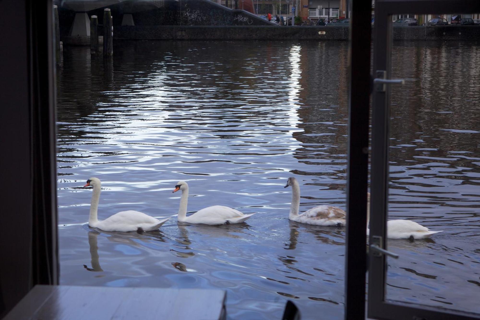 فندق Houseboat Little Amstel أمستردام المظهر الخارجي الصورة